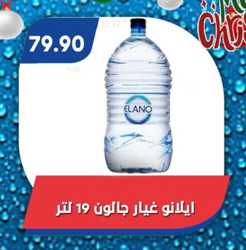 available at باسم ماركت in Egypt - القاهرة