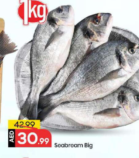 available at مارك & سيف in الإمارات العربية المتحدة , الامارات - أبو ظبي