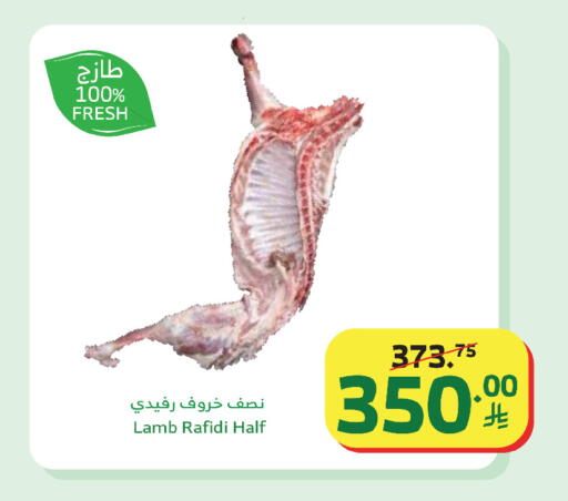 available at الراية in مملكة العربية السعودية, السعودية, سعودية - بيشة