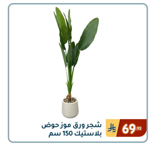 available at تخفيضات العائلة in مملكة العربية السعودية, السعودية, سعودية - المنطقة الشرقية