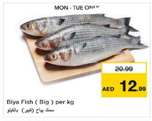 available at نستو هايبرماركت in الإمارات العربية المتحدة , الامارات - الشارقة / عجمان