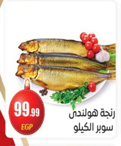 available at أولاد المحاوى in Egypt - القاهرة