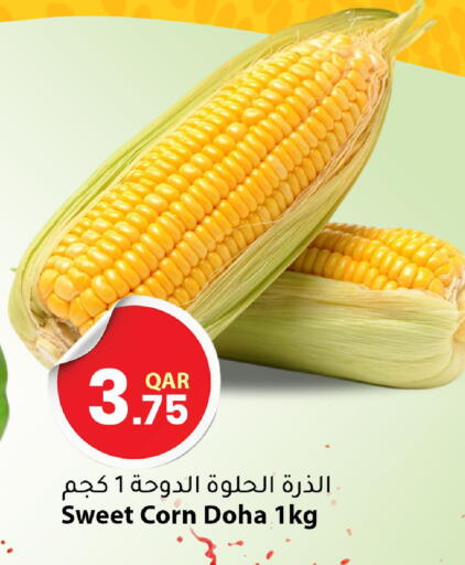 from Qatar available at دانا ماركت in قطر - الضعاين