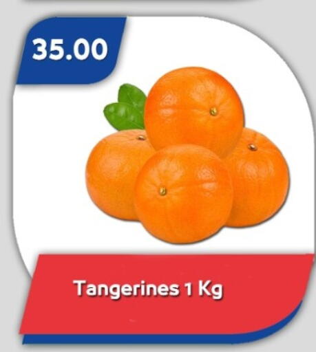 available at Bassem Market in Egypt - Cairo