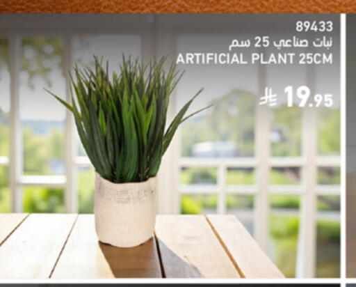 available at ساكو in مملكة العربية السعودية, السعودية, سعودية - تبوك