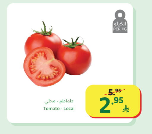 Tomato available at الراية in مملكة العربية السعودية, السعودية, سعودية - مكة المكرمة