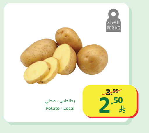 Potato available at الراية in مملكة العربية السعودية, السعودية, سعودية - مكة المكرمة
