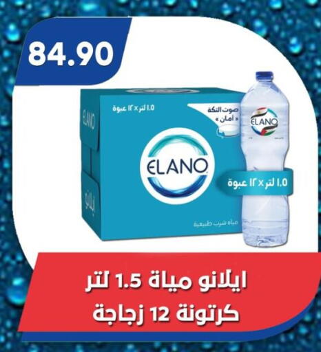 available at باسم ماركت in Egypt - القاهرة