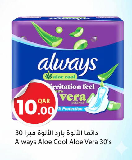 available at دانا ماركت in قطر - أم صلال