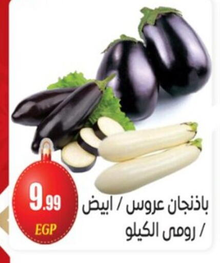 available at أولاد المحاوى in Egypt - القاهرة