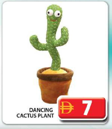 available at Grand Hyper Market in UAE - Dubai