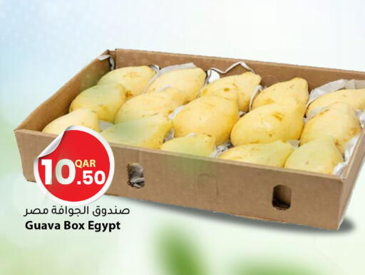 Guava from Egypt available at دانا ماركت in قطر - الشمال