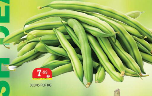 available at Zain Mart Supermarket in UAE - Ras al Khaimah