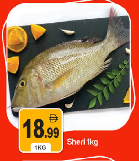 available at TALAL MARKET in UAE - Dubai