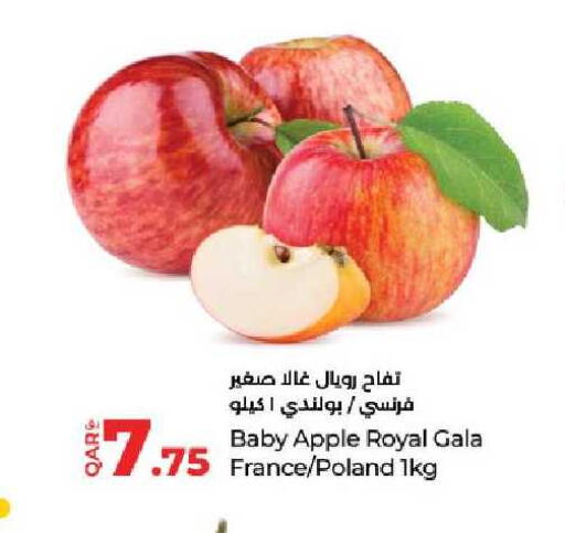 Apple from France Poland available at لولو هايبرماركت in قطر - الشمال
