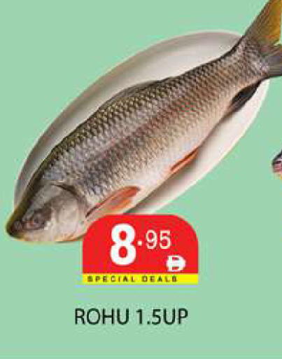 available at زين مارت سوبرماركت in الإمارات العربية المتحدة , الامارات - رَأْس ٱلْخَيْمَة