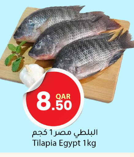 available at دانا ماركت in قطر - الريان