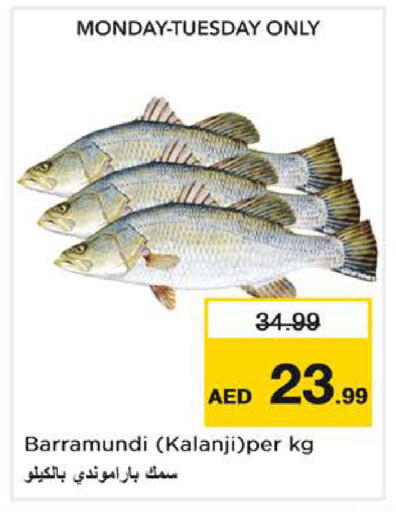 available at نستو هايبرماركت in الإمارات العربية المتحدة , الامارات - دبي