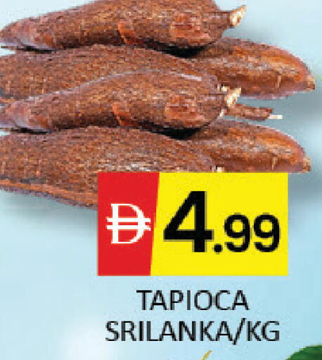 Mango available at مانجو هايبرماركت in الإمارات العربية المتحدة , الامارات - دبي