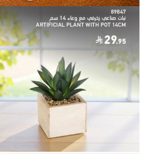 available at ساكو in مملكة العربية السعودية, السعودية, سعودية - الخرج