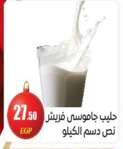 available at أولاد المحاوى in Egypt - القاهرة