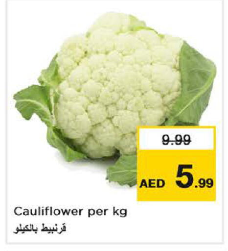 Cauliflower available at نستو هايبرماركت in الإمارات العربية المتحدة , الامارات - دبي