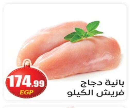 available at أولاد المحاوى in Egypt - القاهرة