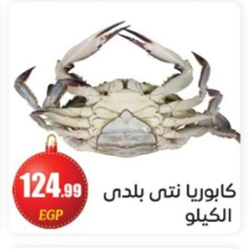 available at أولاد المحاوى in Egypt - القاهرة