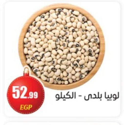 available at أولاد المحاوى in Egypt - القاهرة