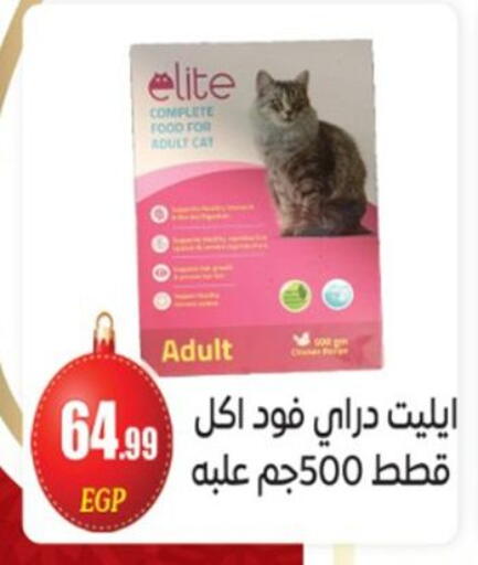 available at أولاد المحاوى in Egypt - القاهرة