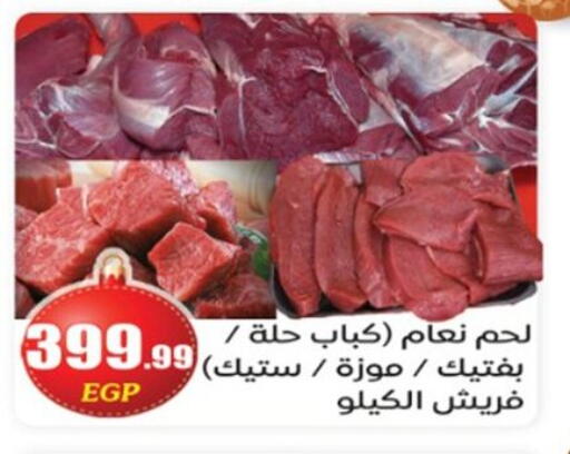 available at أولاد المحاوى in Egypt - القاهرة