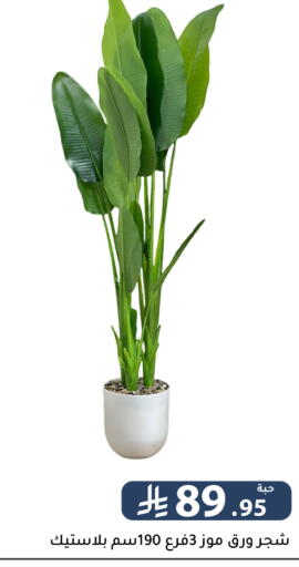 available at تخفيضات العائلة in مملكة العربية السعودية, السعودية, سعودية - الرياض