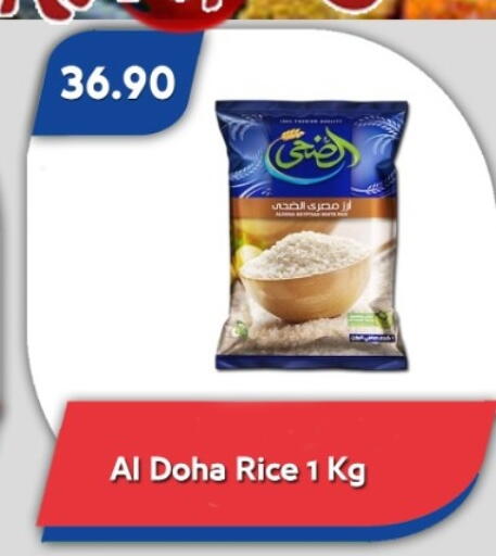 available at باسم ماركت in Egypt - القاهرة