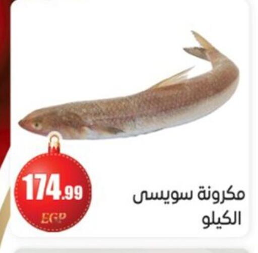 available at أولاد المحاوى in Egypt - القاهرة