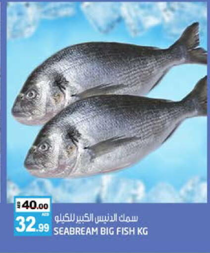 available at هاشم هايبرماركت in الإمارات العربية المتحدة , الامارات - الشارقة / عجمان