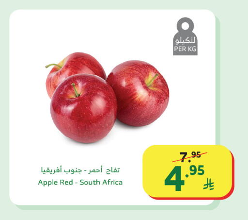Apple from South Africa available at Al Raya in KSA, Saudi Arabia, Saudi - Al Qunfudhah