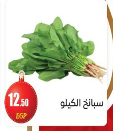 available at أولاد المحاوى in Egypt - القاهرة