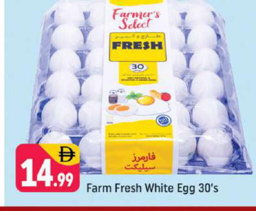 available at شكلان ماركت in الإمارات العربية المتحدة , الامارات - دبي