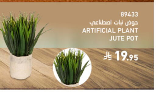 available at ساكو in مملكة العربية السعودية, السعودية, سعودية - الخرج