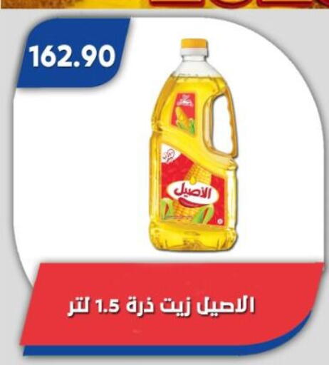 available at باسم ماركت in Egypt - القاهرة