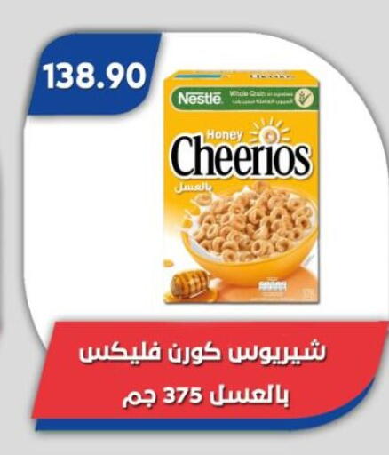 available at باسم ماركت in Egypt - القاهرة