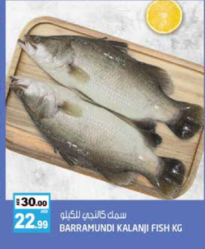 available at هاشم هايبرماركت in الإمارات العربية المتحدة , الامارات - الشارقة / عجمان