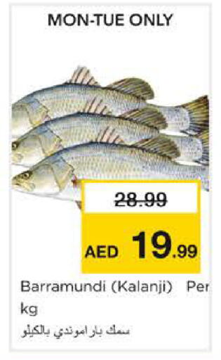 available at نستو هايبرماركت in الإمارات العربية المتحدة , الامارات - الشارقة / عجمان