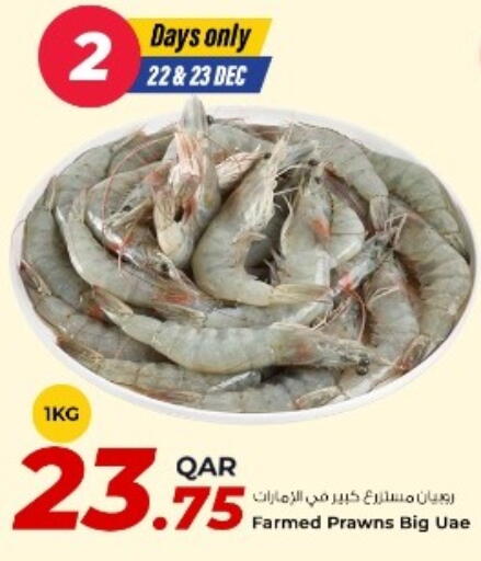 available at روابي هايبرماركت in قطر - الدوحة