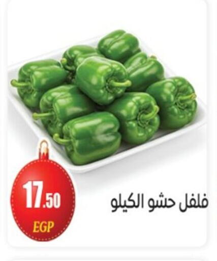 available at أولاد المحاوى in Egypt - القاهرة