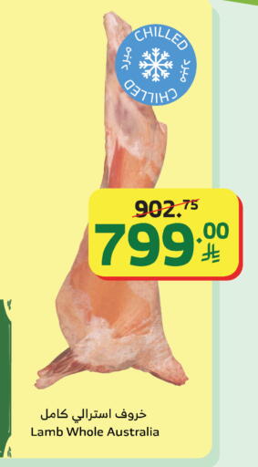 available at Al Raya in KSA, Saudi Arabia, Saudi - Yanbu