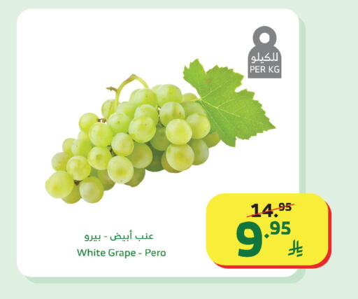 available at Al Raya in KSA, Saudi Arabia, Saudi - Abha