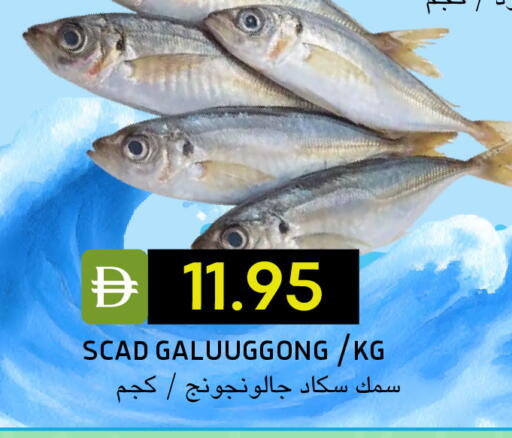 available at سيليكت ماركت in الإمارات العربية المتحدة , الامارات - أبو ظبي