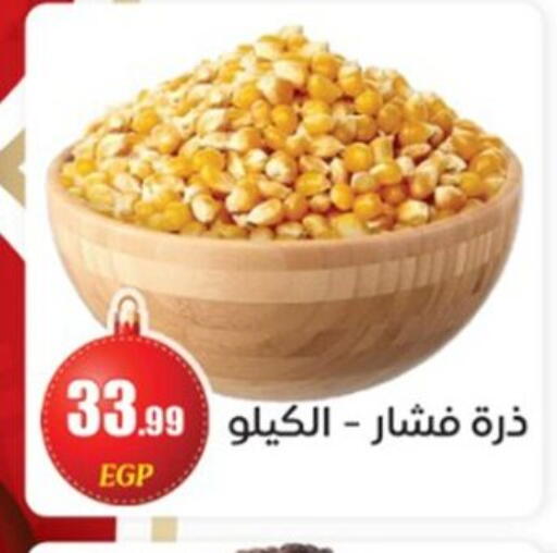 available at أولاد المحاوى in Egypt - القاهرة
