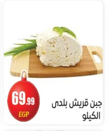 available at أولاد المحاوى in Egypt - القاهرة